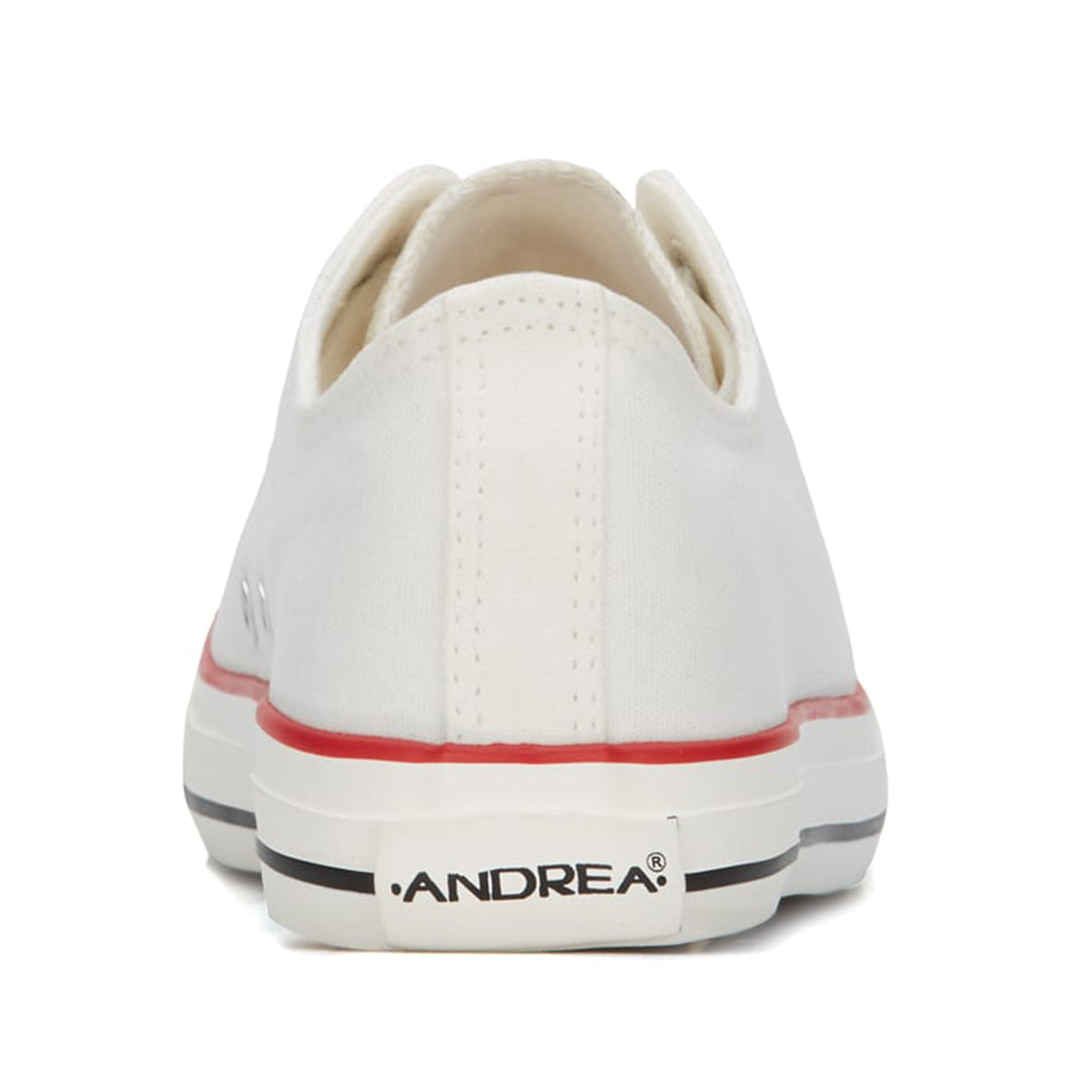 Andrea Classic Canvas Sneakers 19964