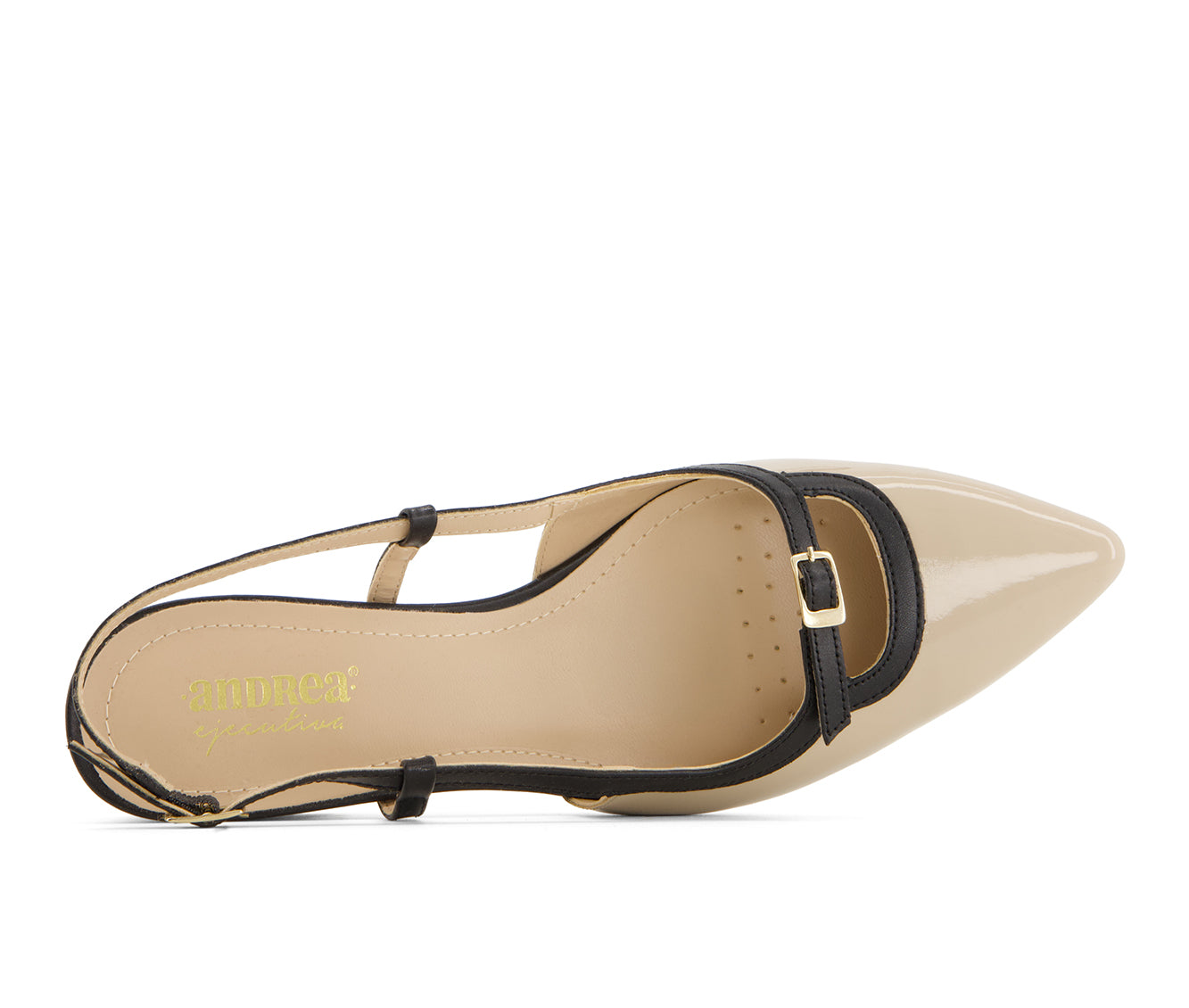 Andrea Women's Slingback Pointed Toe Low Heel Pumps 64601