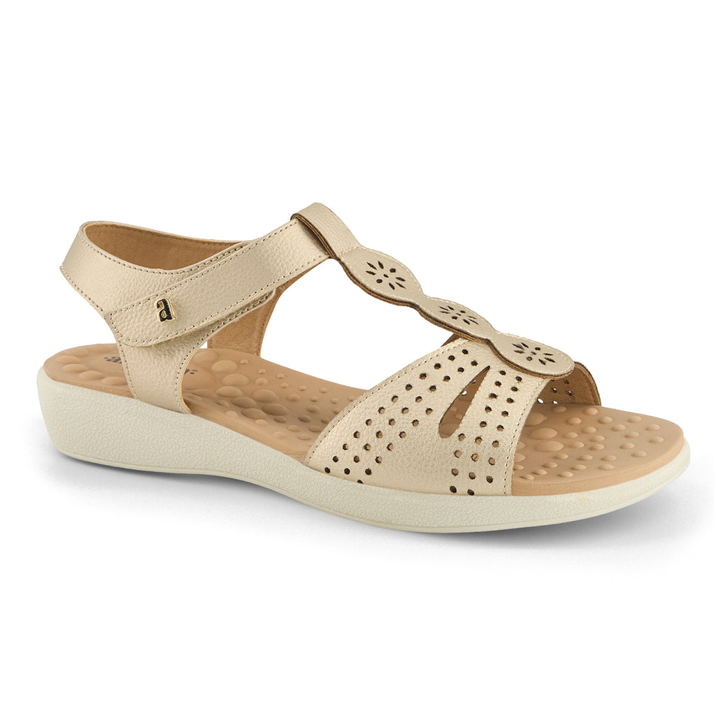 Andrea Shoes