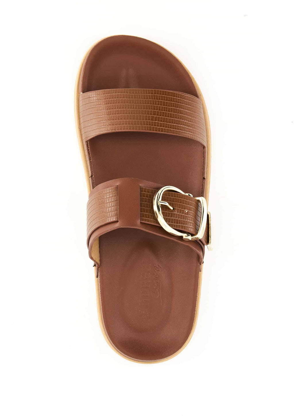 Andrea Shoes