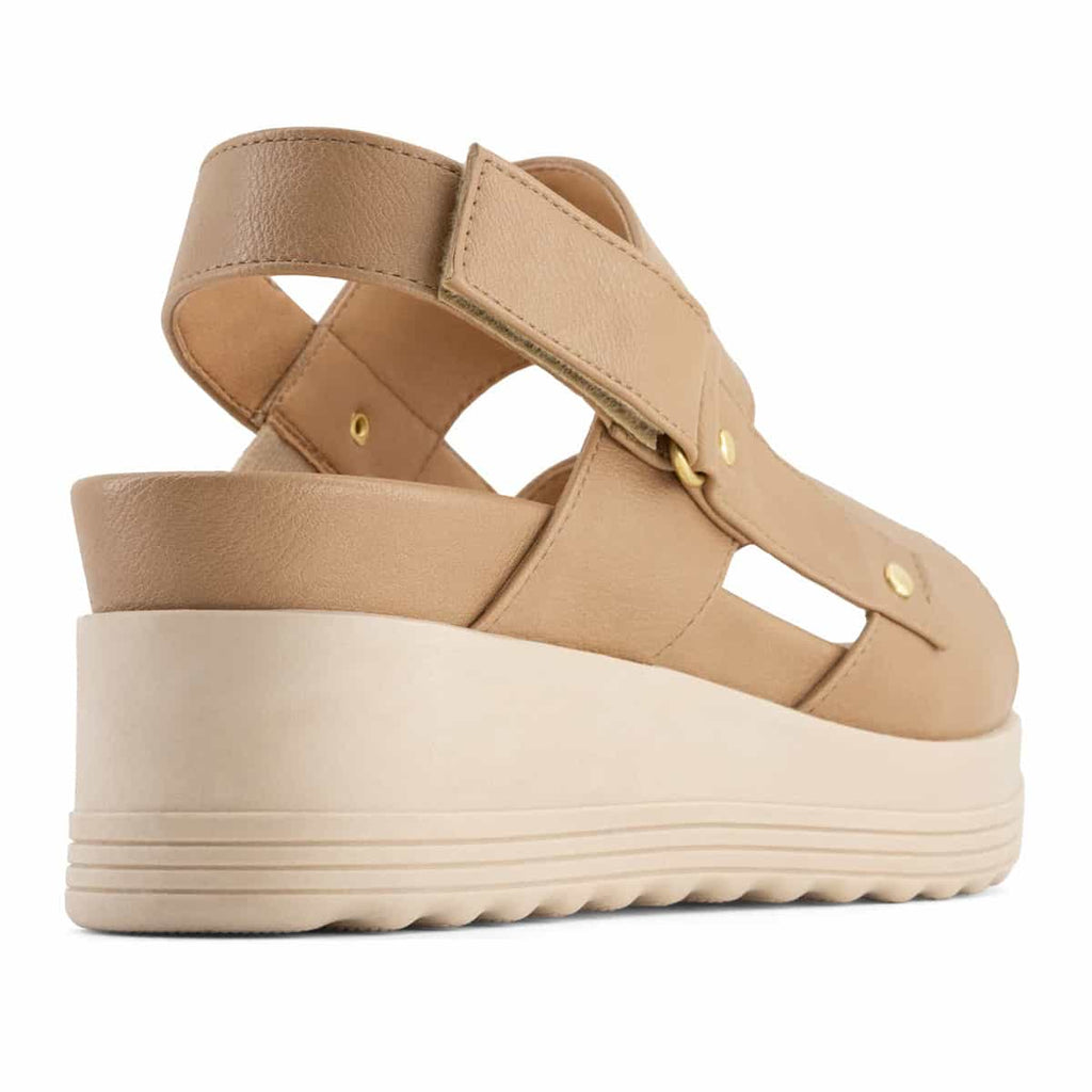 Andrea Shoes