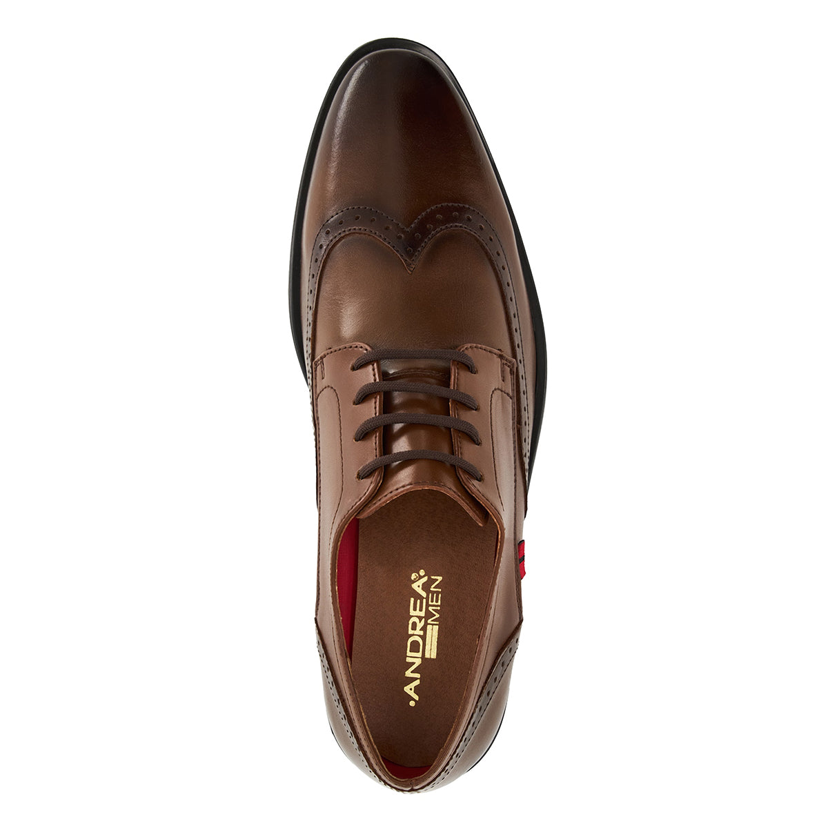 Andrea Shoes