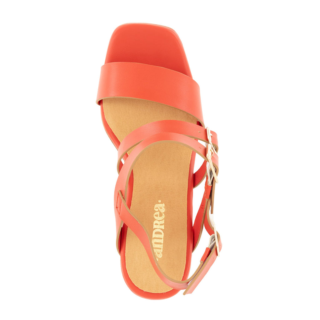 Andrea Shoes